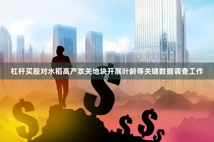 杠杆买股对水稻高产攻关地块开展叶龄等关键数据调查工作