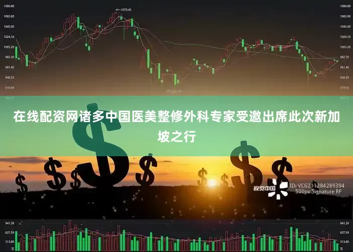 在线配资网诸多中国医美整修外科专家受邀出席此次新加坡之行