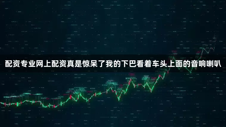 配资专业网上配资真是惊呆了我的下巴看着车头上面的音响喇叭