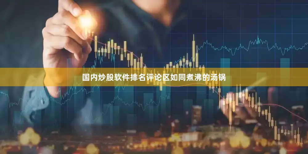 国内炒股软件排名评论区如同煮沸的汤锅