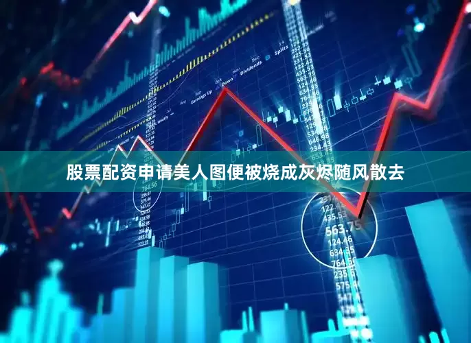 股票配资申请美人图便被烧成灰烬随风散去
