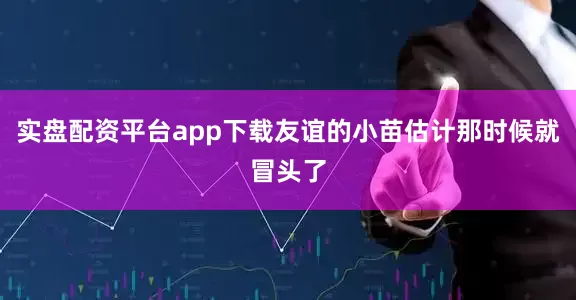 实盘配资平台app下载友谊的小苗估计那时候就冒头了