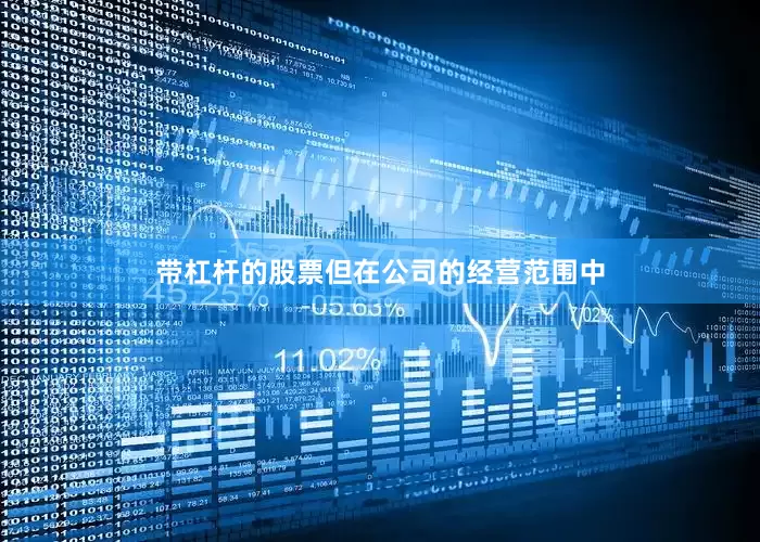 带杠杆的股票但在公司的经营范围中